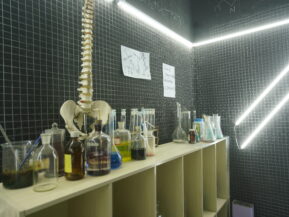 {{brizy_dc_image_alt imageSrc=