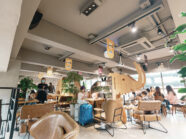 {{brizy_dc_image_alt imageSrc=