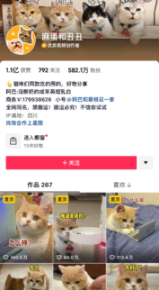 {{brizy_dc_image_alt imageSrc=