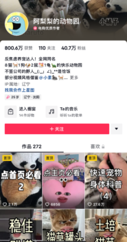 {{brizy_dc_image_alt imageSrc=