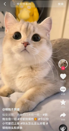 {{brizy_dc_image_alt imageSrc=