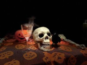 {{brizy_dc_image_alt imageSrc=