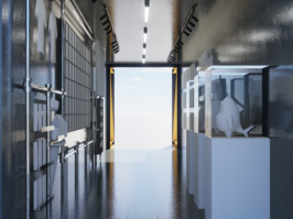 {{brizy_dc_image_alt imageSrc=