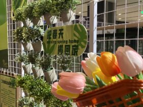 {{brizy_dc_image_alt imageSrc=