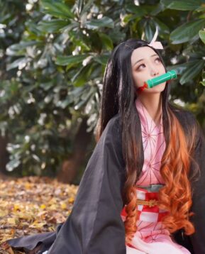 {{brizy_dc_image_alt imageSrc=